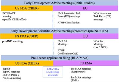 Frontiers | A Regulatory Risk-Based Approach To ATMP/CGT Development ...